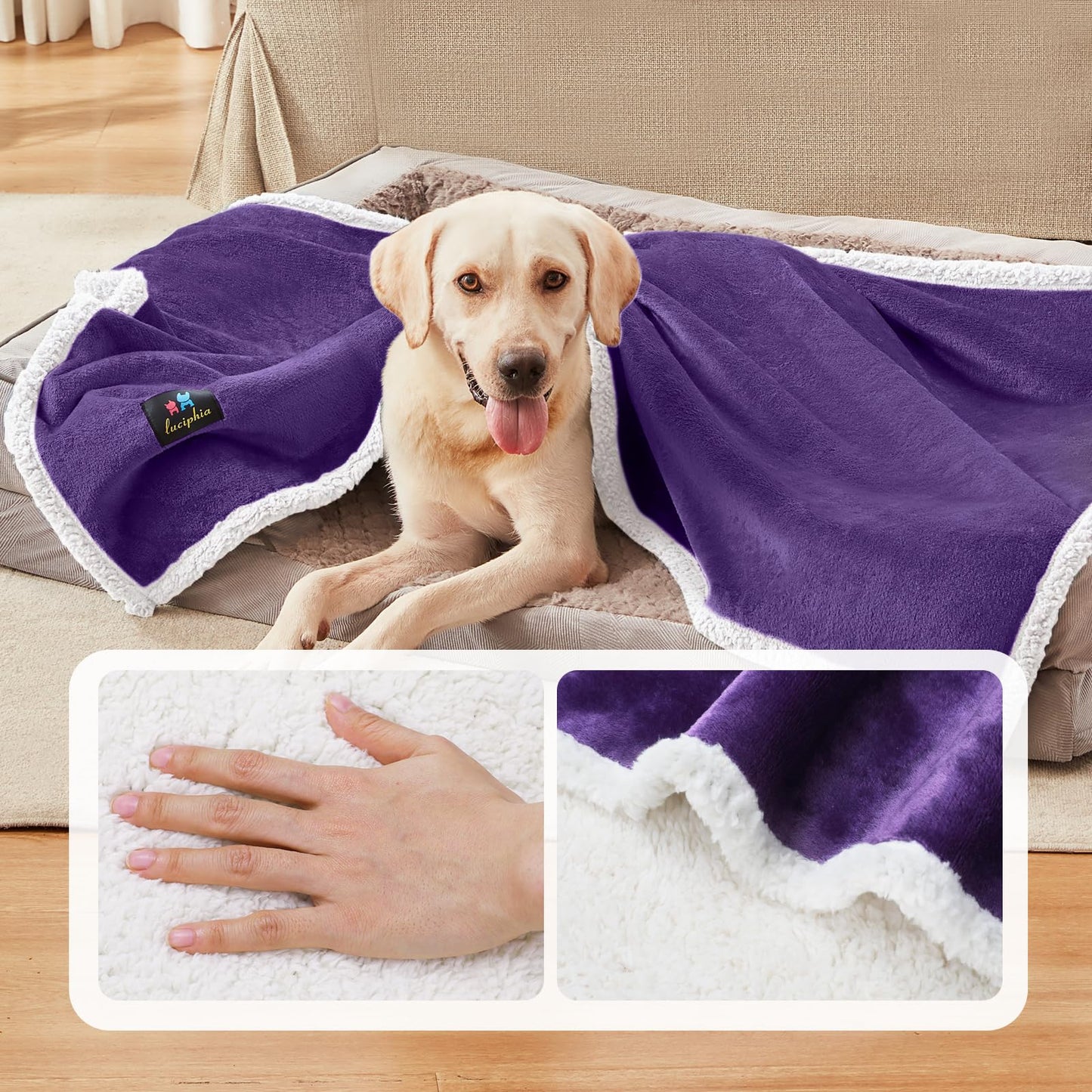 Luciphia Waterproof Dog Blanket for Large Dogs Small Pet Cat Blankets for Couch Bed Liquid Proof Furniture Protector Washable Soft Sherpa Fleece Puppy Reversible Cover Purple White Medium(57" x 40")
