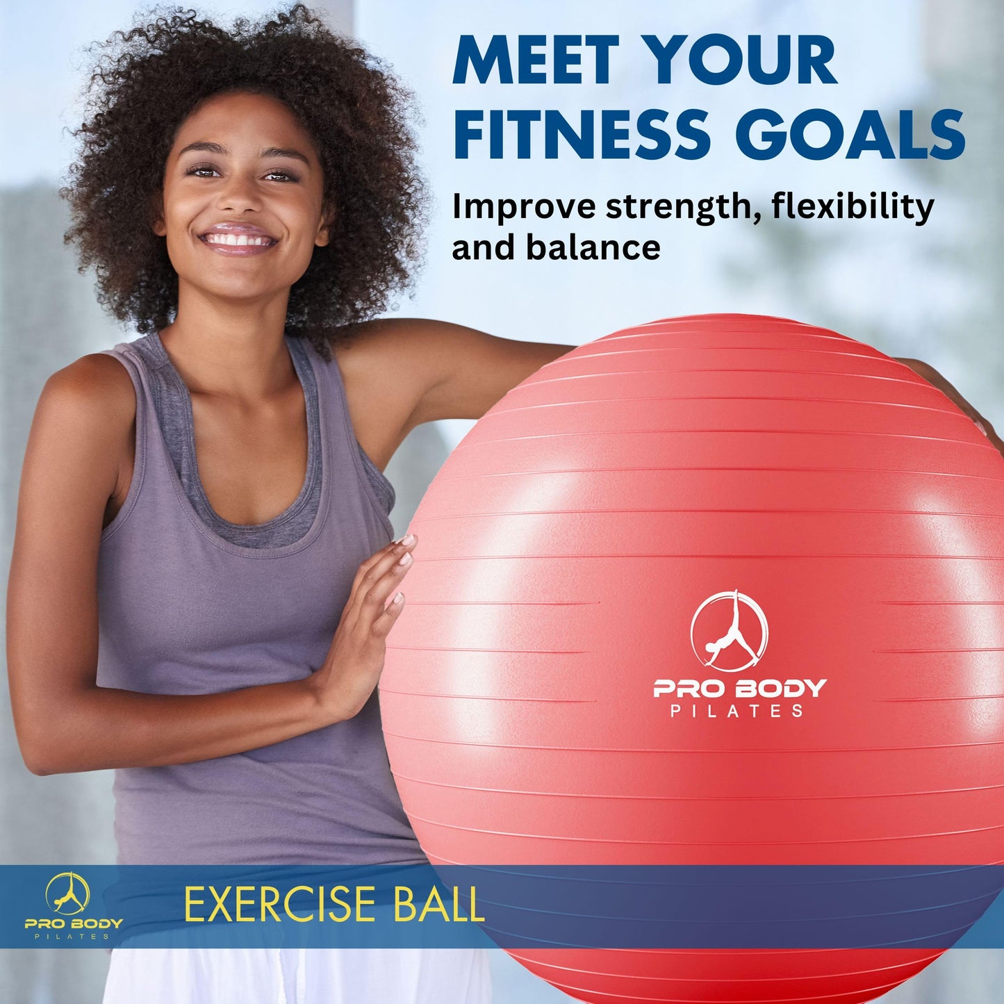 ProBody Pilates Exercise Ball - Multiple Sizes Gym Grade Balance Ball for Fitness, Workout, Pregnancy & Physical Therapy, Stability Yoga Ball Chair (Red, 55 cm)