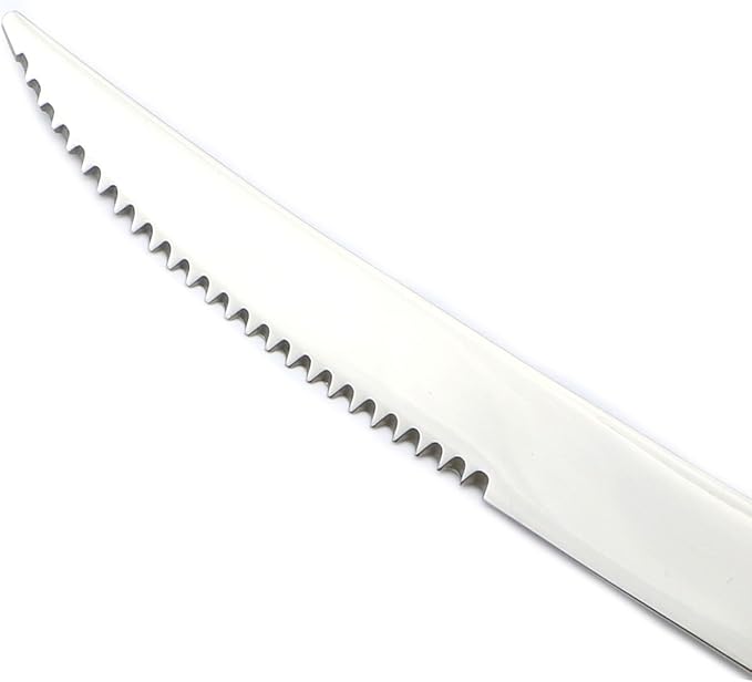 5-Piece 18/10 Stainless Steel Serrated Steak Knife Flatware Set, Service for 1