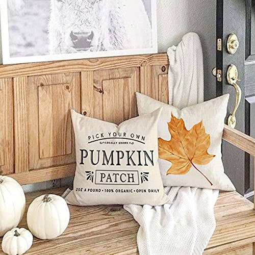 GEEORY Fall Pillow Covers 18x18 inch Set of 4 Pumpkin Maple Leaf Harvest Outdoor Fall Pillows Decorative Throw Pillows Farmhouse Thanksgiving Autumn Cushion Case for Couch