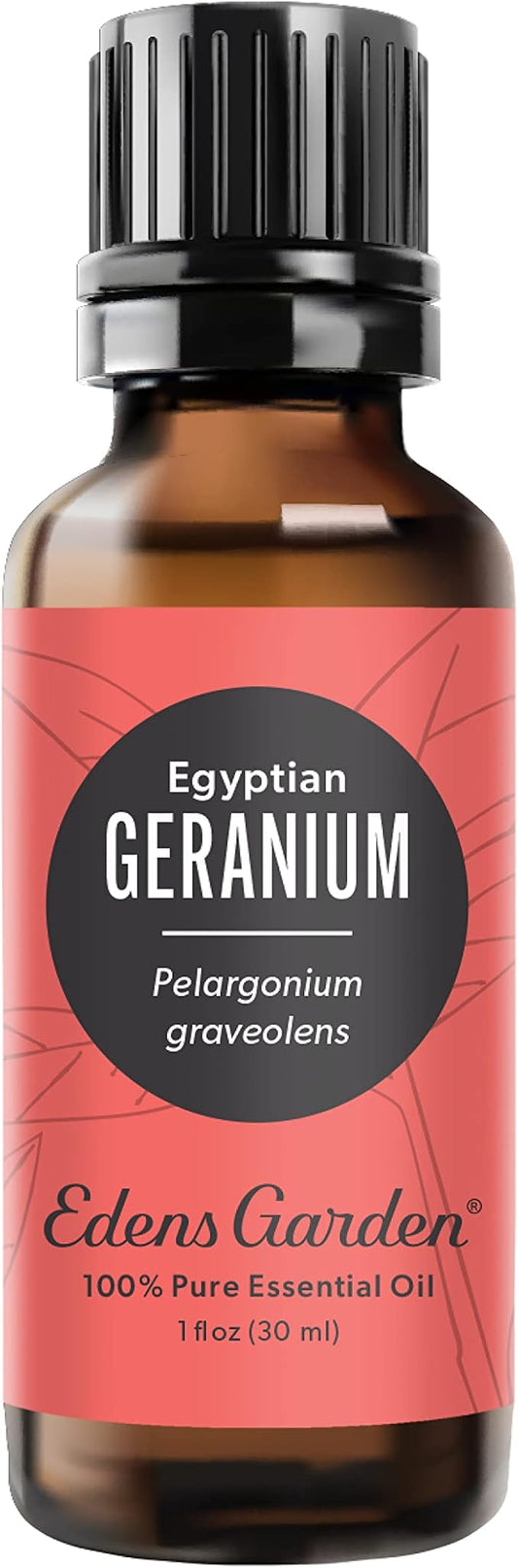 Edens Garden Geranium- Egyptian Essential Oil, 100% Pure Therapeutic Grade (Undiluted Natural/Homeopathic Aromatherapy Scented Essential Oil Singles) 30 ml