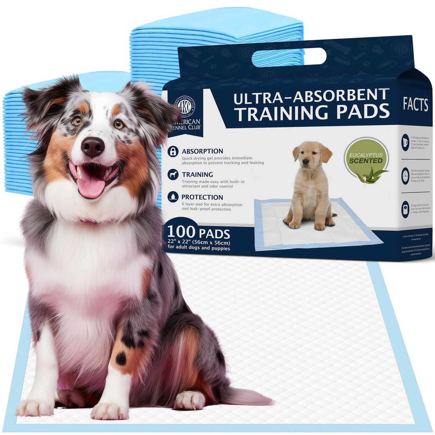 AMERICAN KENNEL CLUB AKC62975 6-Layer Leak-proof Puppy Training Pads - 22x22 Inches, Green, Synthetic, Disposable-Pet-Training-Pads, Pack of 100