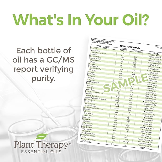 Plant Therapy Black Spruce Essential Oil 30 mL (1 oz) 100% Pure, Undiluted, Therapeutic Grade