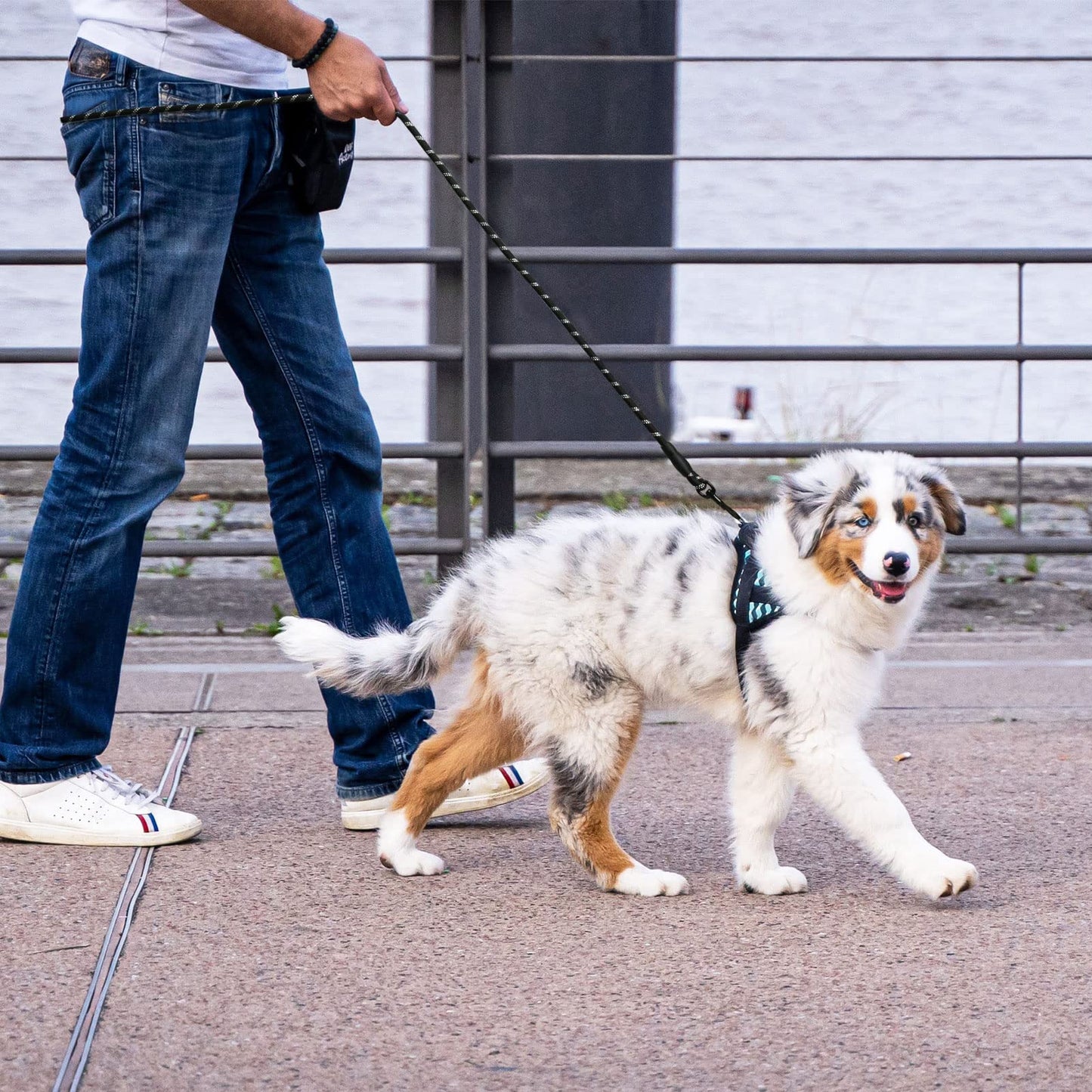 Panykoo 5/6 FT Strong Pet Dog Leash with Soft Padded Handle,Highly Reflective Rope for Night Walking,360-Degree Rotating Metal Buckle Without Tangles,Suitable for Small,Medium and Large Dogs.(5ft)